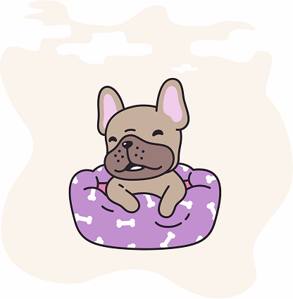 Illustration of a French bulldog puppy resting in a purple dog bed