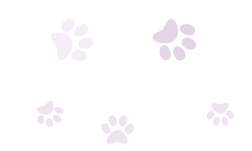 Decorative paw print pattern