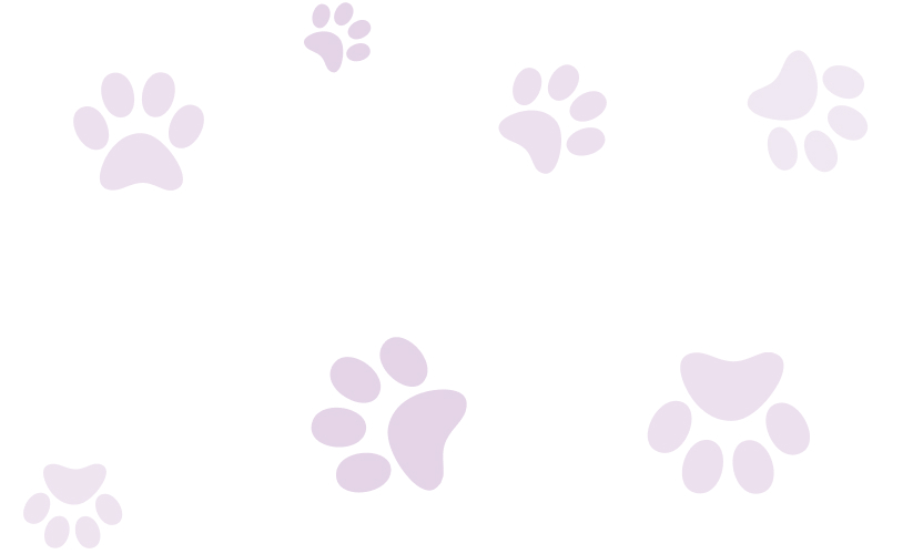 Decorative paw print pattern