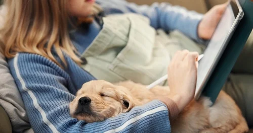 Person cuddling a puppy on their lap while relaxing on the couch