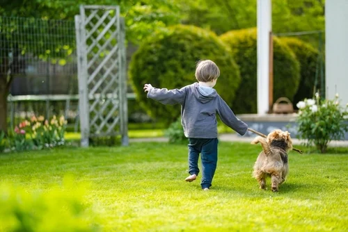 Child playing with a small dog in a backyard